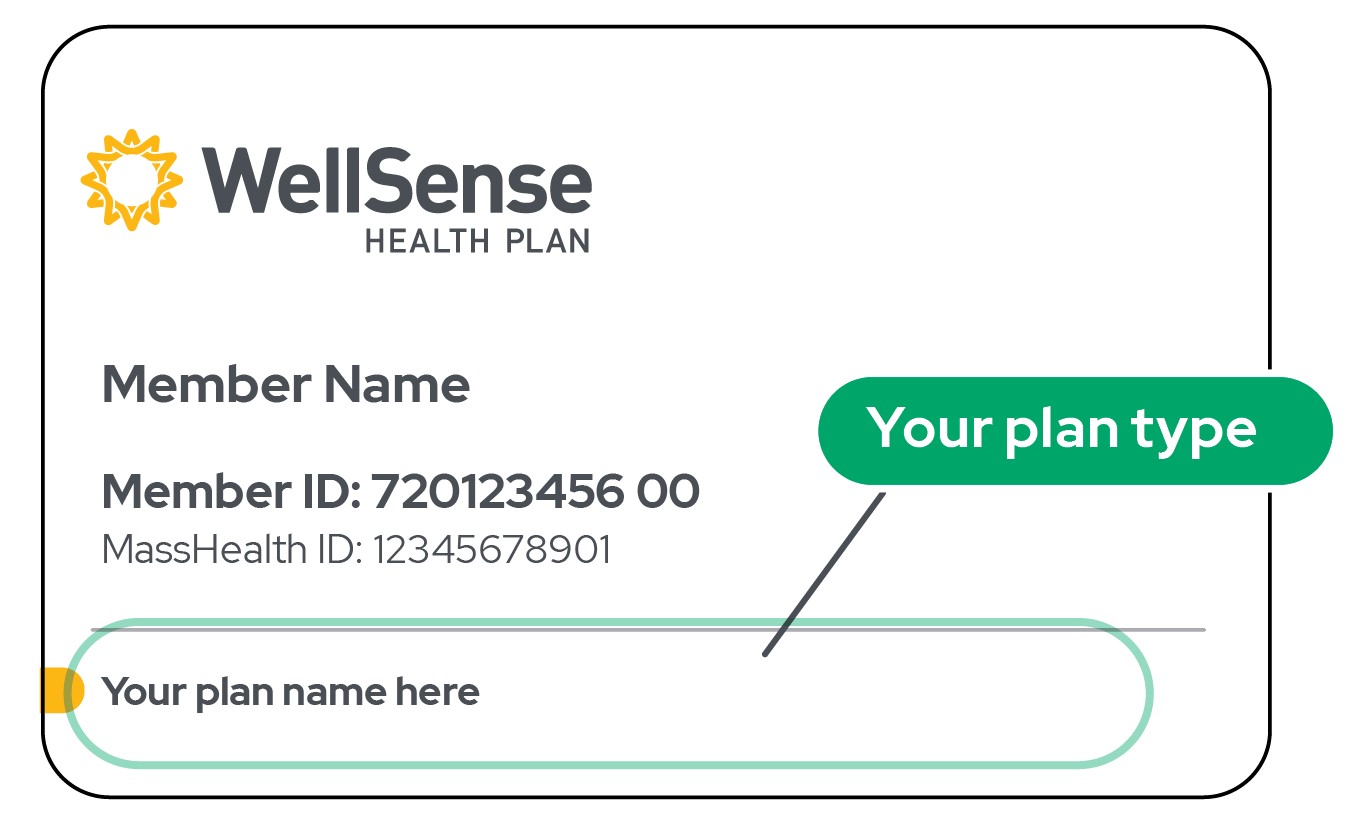 Get Started WellSense Health Plan